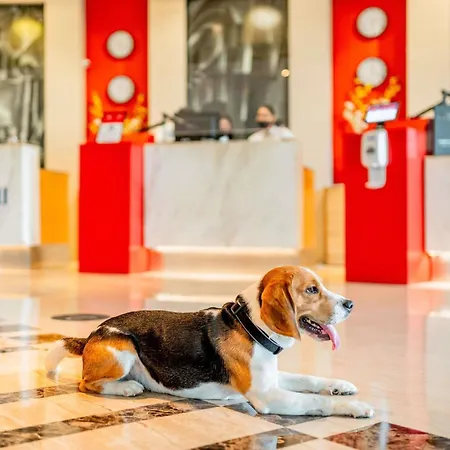 Hotel Ibis Centre Lyon