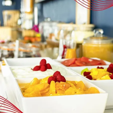 Ibis Centre فندق ليون